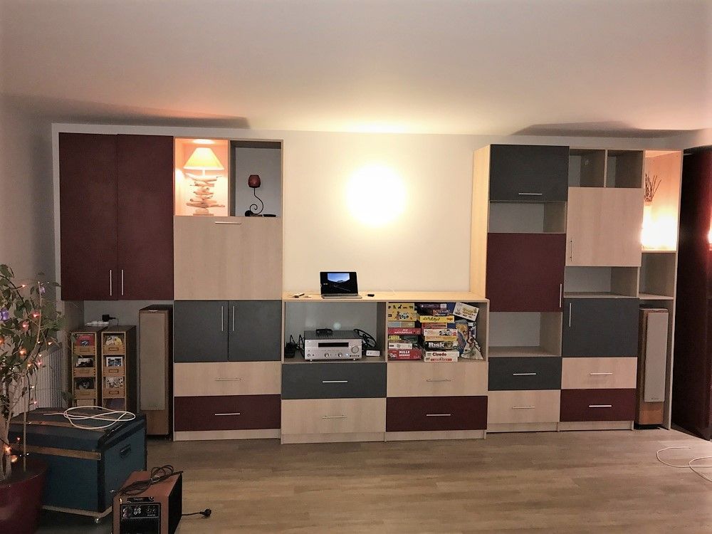 Bibliothèque sur mesure niche TV et enceintes