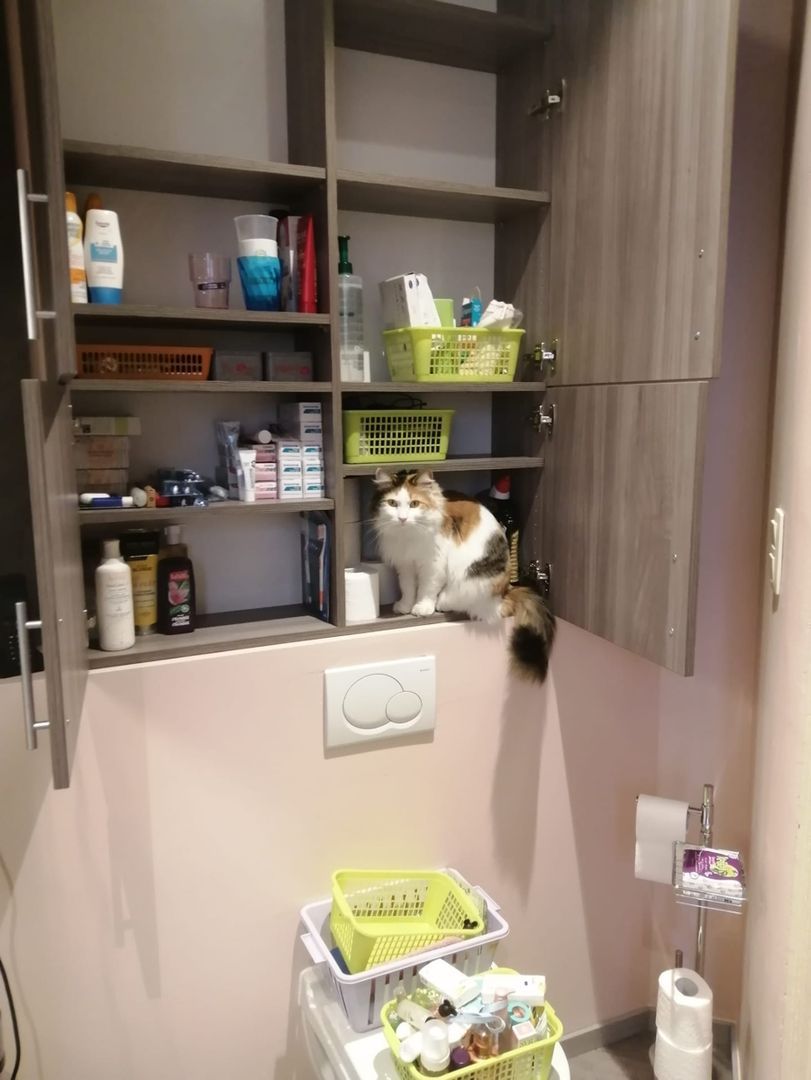 Caisson de rangement toilette - Vue 1