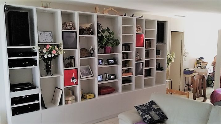 Grande bibliothèque de salon