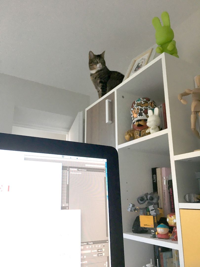 Meuble bibliothèque bureau - Vue 1