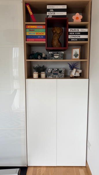 Custom bookcase with colored cubby