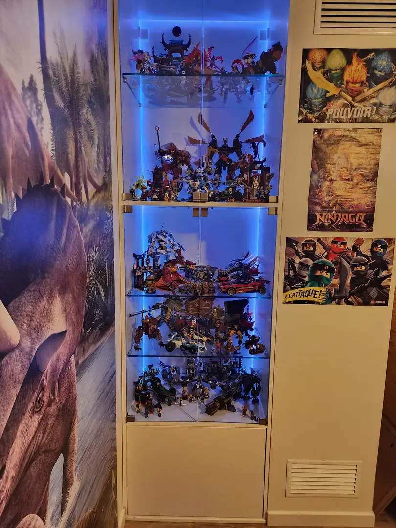 Custom showcase with glass doors and shelves - Vue 1