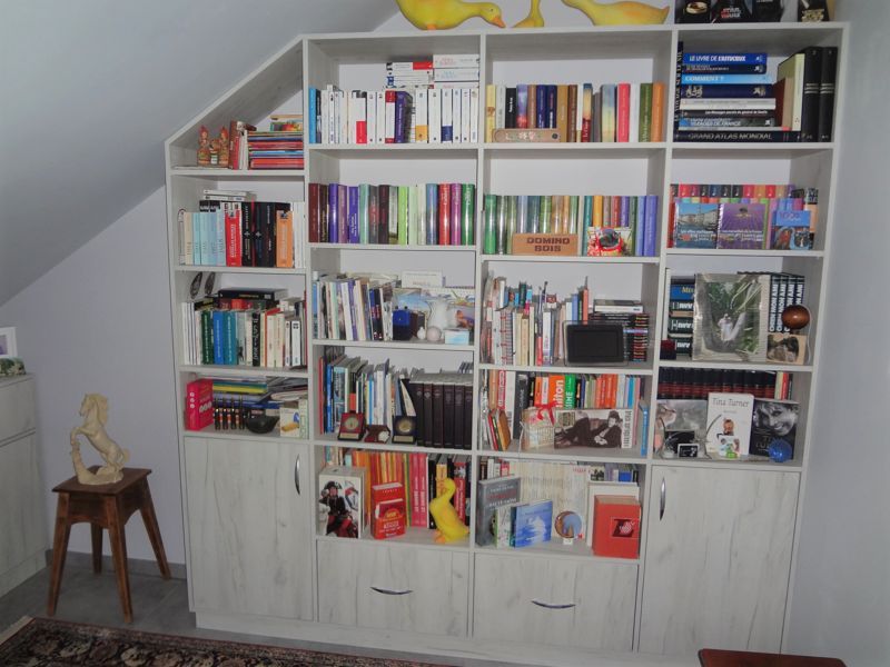 Bibliothèque sous pente